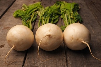 Turnip